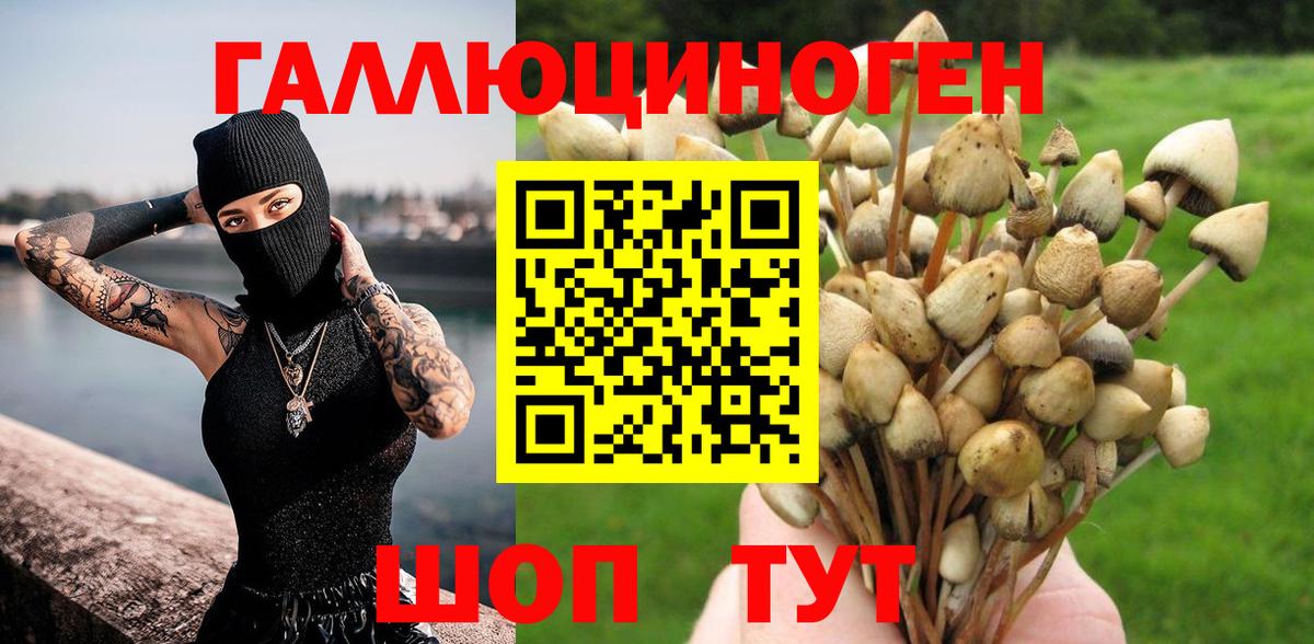 Великий Новгород  COCAIN  Экстази  МЕФ   МЕТАДОН  ГАШ  NBOMe  Вход с VPN  Конопля  Метамфетамин 