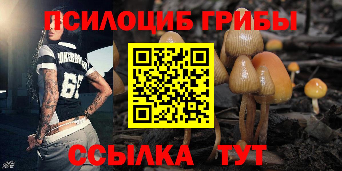 Великий Новгород  Галлюциногенные грибы MAGIC MUSHROOMS  Вход с VPN 