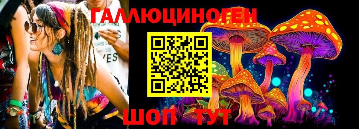 Псилоцибиновые грибы MAGIC MUSHROOMS Великий Новгород